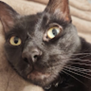 Meet your Posher, Jacqueline